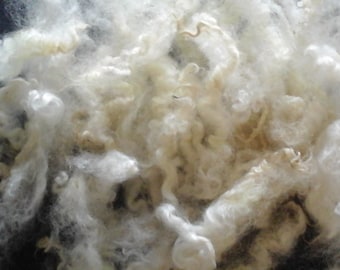 Teeswater Locks: White Washed Rare Breed Fiber for Spinning, Felting