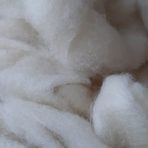 May include: Close-up of soft, off-white wool roving. The fibres are loosely arranged, creating a fluffy, textured appearance. The wool appears clean and ready for crafting projects like felting or spinning.