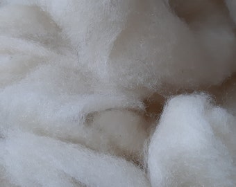 SHETLAND  Rovings carded wool  SOFT WHITE from a British conservation flock