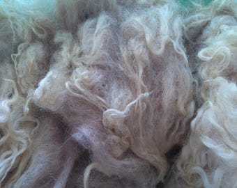 Wolle Boreray Schaf-Vlies, Light Rehkitz Rare Breed Fiber