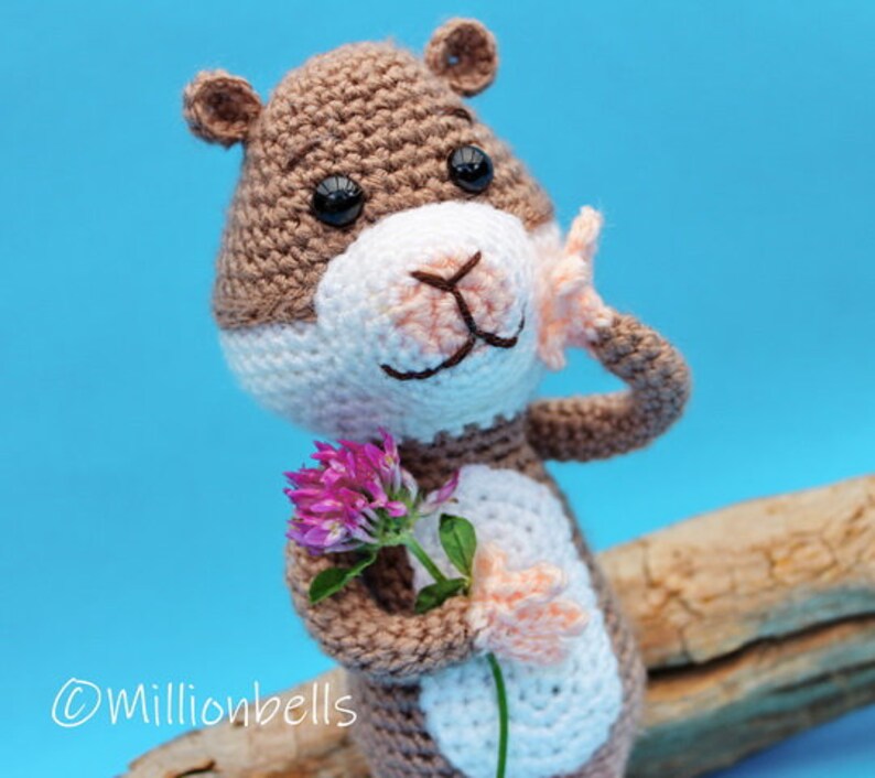 Haakpatroon Hamster Knuffel Dieren Haken Patroon PDF Knaagdier Etsy