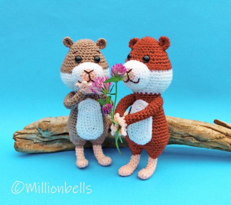 Haakpatroon Hamster Knuffel Dieren Haken Patroon PDF Knaagdier Etsy