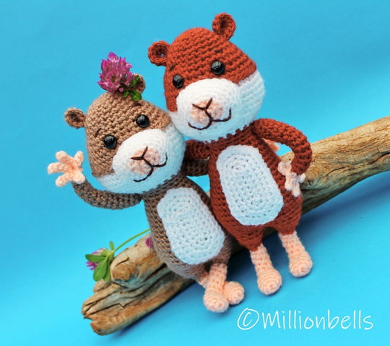 Haakpatroon Hamster Knuffel Dieren Haken Patroon PDF Knaagdier Etsy