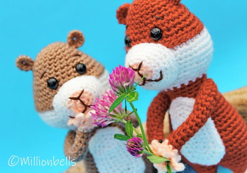 Haakpatroon Hamster Knuffel Dieren Haken Patroon PDF Knaagdier Etsy