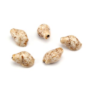 Vintage porseleinen schelpkralen, Sea Life-keramiekkralen (6 stuks)