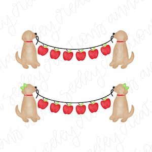 Op de afbeelding: Twee golden retriever honden die een touwtje met rode appels vasthouden. De honden zitten en kijken elkaar aan. De appels zijn met een touwtje aan elkaar verbonden en hangen tussen de honden.