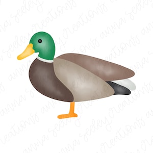 Watercolor Mallard Duck PNG Design for Hunting Season - Boys Shirt for Sublimation Heat Press Transfer