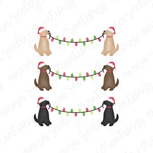 May include: Three dogs wearing Santa hats are pulling a string of Christmas lights. The dogs are a yellow lab, a brown lab, and a black lab. The lights are red and green.