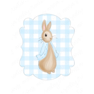 Boy Watercolor Easter Bunny Peter Cottontail Rabbit with Blue Gingham Plaid Background PNG Design for Heat Press Transfer and Sublimation