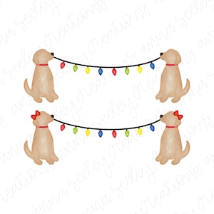 Könnte beinhalten: Zwei Golden Retriever-Welpen ziehen an einer Lichterkette mit bunten Weihnachtslichtern. Die Lichter sind rot, gelb, grün und blau. Die Welpen sitzen auf weißem Hintergrund.