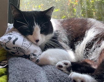 May include: A black and white cat with white paws is sleeping on a gray and white patterned pillow. The cat is curled up and its eyes are closed.