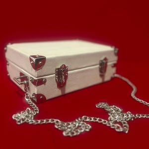 Handbag Trunk