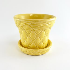 May include: A yellow ceramic flower pot with a matching saucer. The pot has a textured diamond pattern and a decorative leaf design around the rim. The pot is approximately 5 inches in diameter and 4 inches tall.