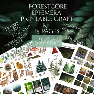 Waldkern Bastelpackung | Junk Journal Ephemera & Bücherwurm Seiten