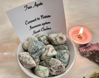 Tree Agate tumble stone - Nature connection - Luck and prosperity