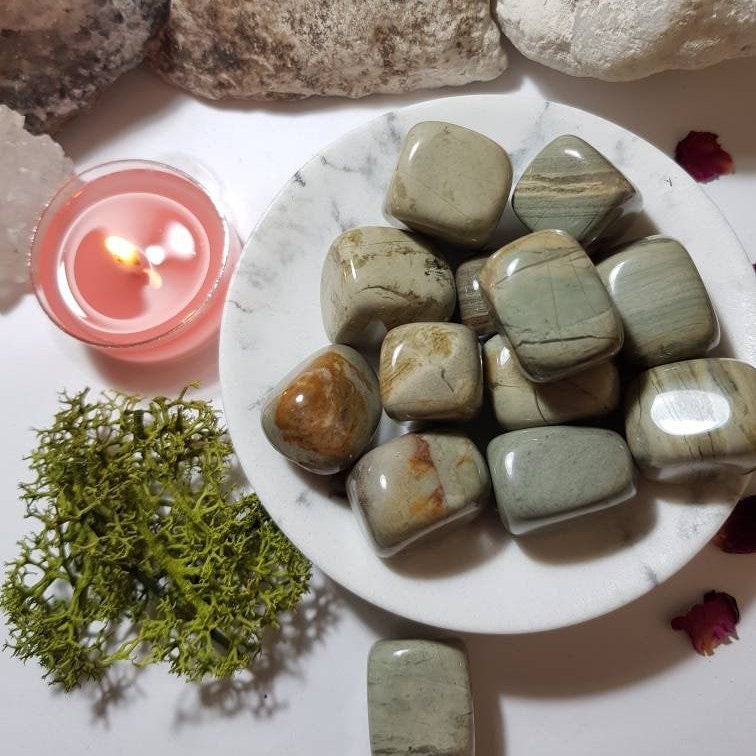 Silver Leaf Jasper Tumble Stone Sense Of Joy Strength