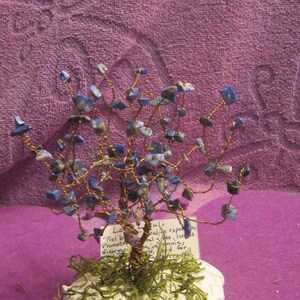May include: A wire-wrapped tree with blue lapis lazuli stones. The tree is on a white base with green moss. The base has a small card with the text "Lapis Lazuli "Feel by creative expression. Promotes spiritual gifts, helps with clarity, harmony, and for disorders."