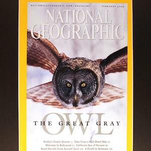 Great Gray Owl National Geographic Cover with mat/ photographic art/cool men&#39;s gift/ Owl/ Bird/ woodland predator/ raptor/ cool women&#39;s gift