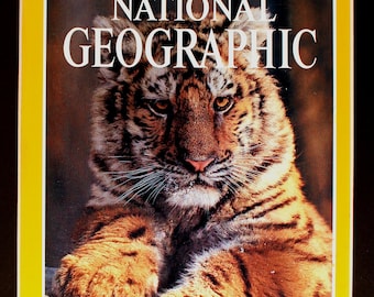 Siberian Tiger Cub National Geographic Cover of Globus the tiger