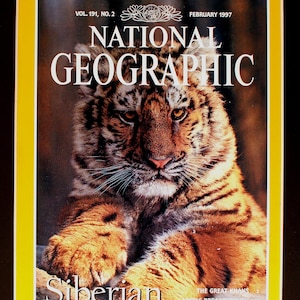 Siberian Tiger Cub National Geographic Cover - magazine photographic art/cool gift/photo art/ Feline/  Globus the tiger/ Minnesota Zoo