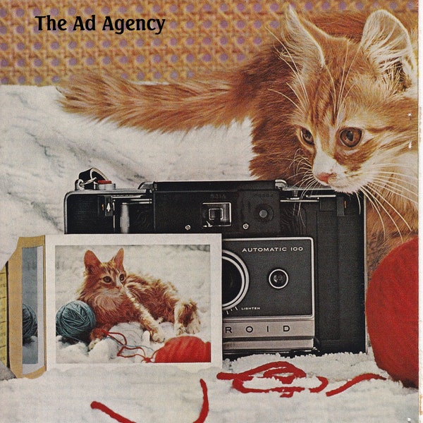 1966 Polaroid Color Pack Cat vintage Publicité / Appareil photo instantané / magazine vintage / publicités rétro / 19460s / Cadeau pour femme cool / Cadeau pour hommes cool