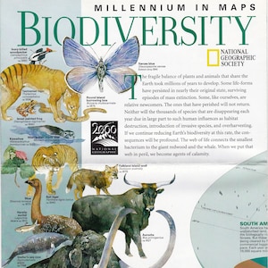 Millenium in Maps Biovielfalt vintage Weltkarte/ National Geographic/ Aussterben/ Biologischer Artenschutz / vielfältiges Leben