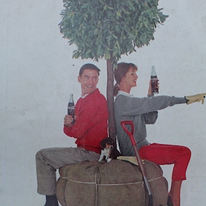 1964 Coca-Cola Magazine Advertisement/Vintage advertising/retro ads/1960s/Coke/Coca Cola/cool men&#39;s gift/Arbor Day/trees
