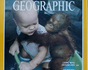 Orangutan & Baby National Geographic Cover - Living with Orangutans -Magazine/ magazine photographic art/cool gift/apes/Africa/bath time
