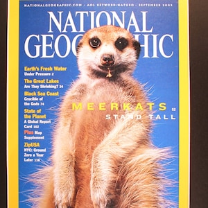 Meerkat National Geographic Cover Matted Magazine/ magazine photographic art/cool men&#39;s gift/historical/ animals/ mongoose family