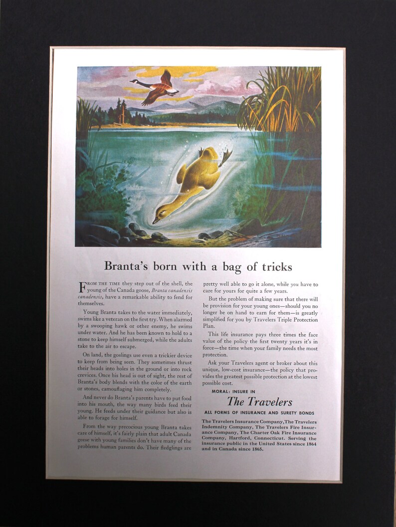 1949 Canada Goose Traveler S Image 0
