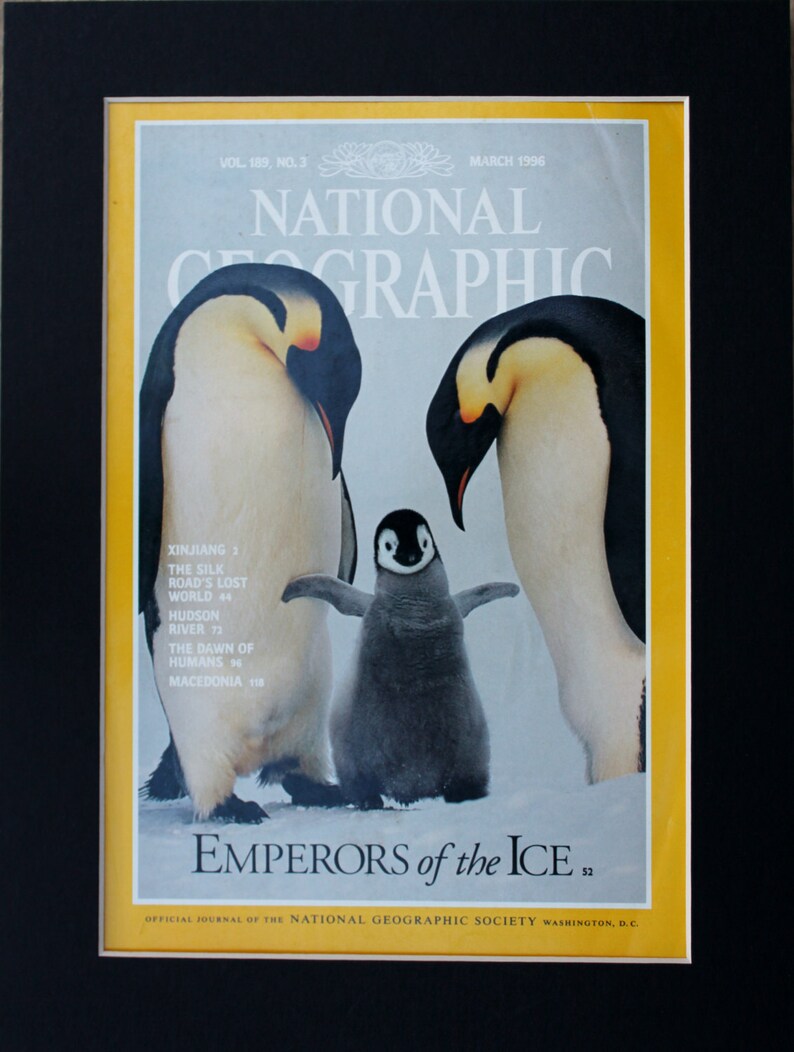 National Geographic Penguins Cover Emperors of the Ice | Etsy