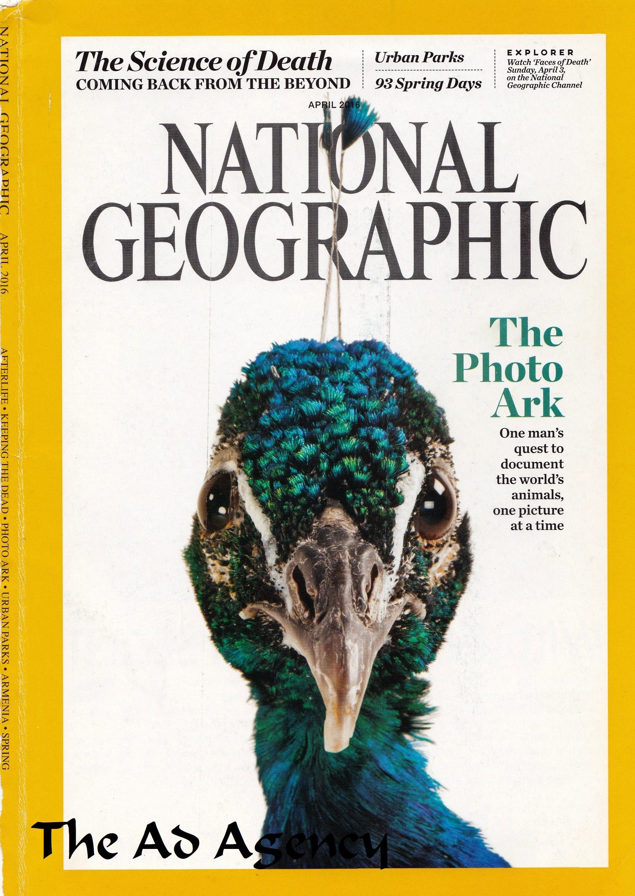 National Geographic Magazine Cover Animals