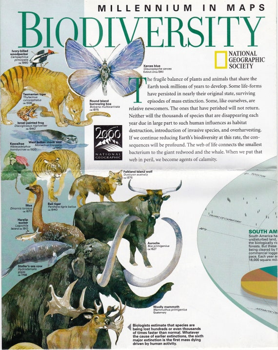 Millennium in Maps Biodiversity Vintage Map-chart of the - Etsy Millennium in Maps Biodiversity Vintage Map-chart of the - Etsy