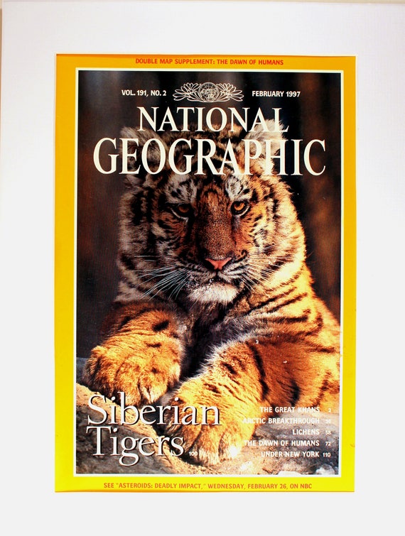 Bengal Tiger  National Geographic