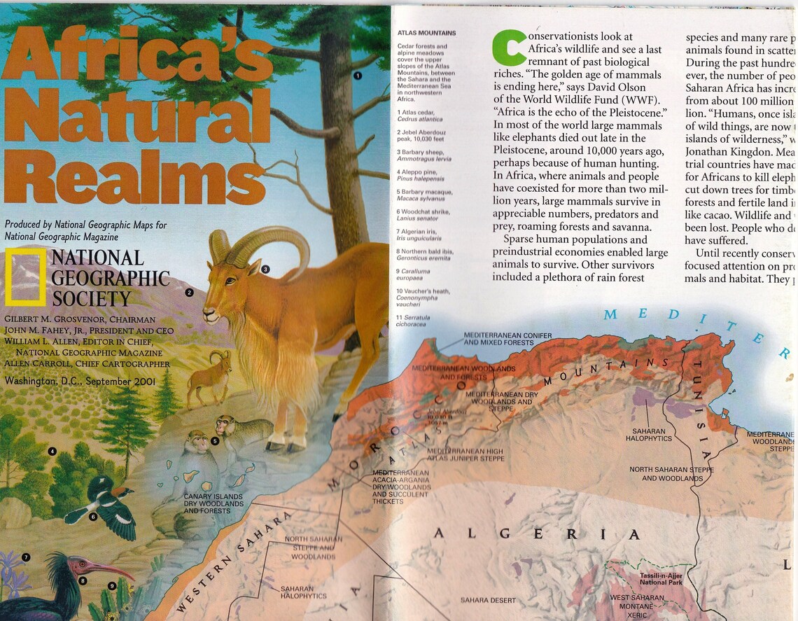 Africa's Natural Realms Map/chart/ National Geographic/ Cartography ...