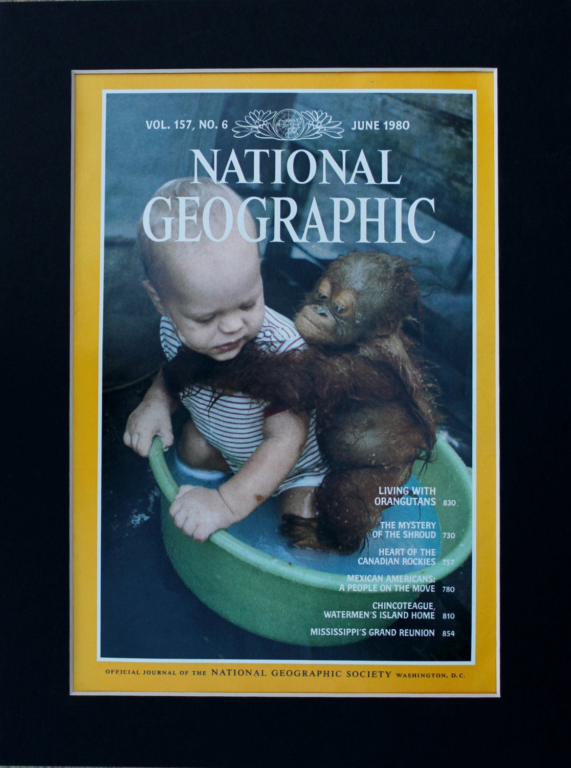 Orangutan and Baby National Geographic Cover Living With