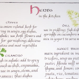Herbs in the kitchen (1) Print -- Calligraphy Art Print 8 X 10, Kitchen Art, Illustrated Herbs, Calligraphy Herb Print, Kitchen Decor