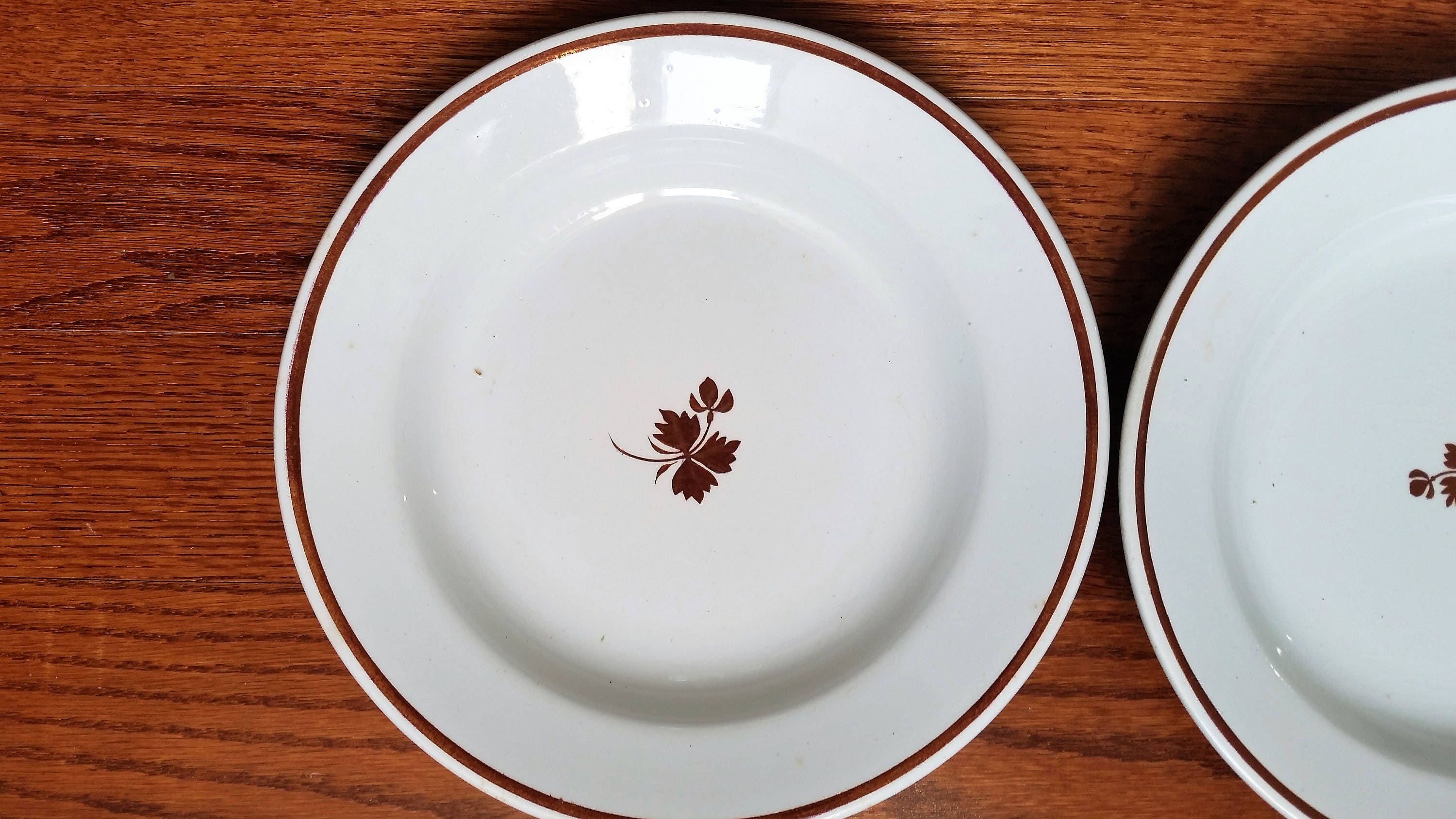Tea Leaf Soup Dishes Pasta Bowl Four Copper Lustre on Etsy