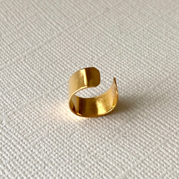 衝撃特価 【野いちご様専用】Sipilica Hoop Ear Cuff その他 - monnai.com