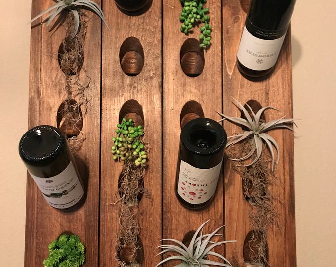 Riddling Rack Plant Collection, Artificial Succulents, Faux Air Plants