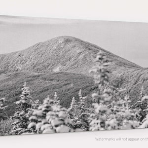 Winter on North Kinsman Canvas Gallery Wrap - black and white landscape photo of winter in Franconia Notch in the White Mountains of NH