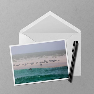 May include: A photograph of a coastal scene featuring seals on a sandy beach, with turquoise waves in the foreground. The image is presented on a white card, inside a white envelope, with a black pen resting nearby.