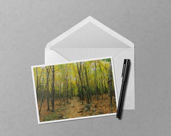 Acadia Aspens Path 5x7 Notecard - Maine Blank Fall Foliage Greeting Card - New England Nature Stationery - Autumn Forest Trail