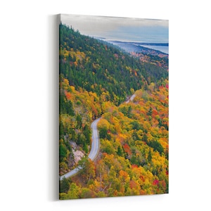 Acadia Park Loop Road Fall Foliage Canvas Gallery Wrap - photo of the Park Loop Road climbing towards Eagle Lake in Acadia National Park