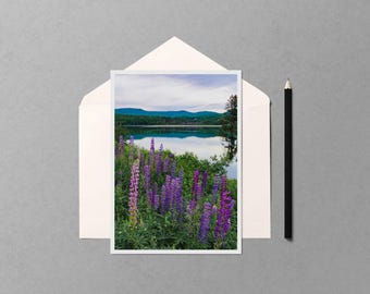 Lupines at Pearl Lake 5x7 Notecard - New Hampshire Purple Wildflower Blank Note Card, Greeting Card Set, Floral Naute Stationery Gift