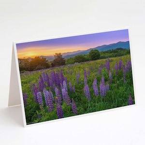 White Mountains Lupin Sunrise 5x7 Karte - Kunstfoto des Sonnenaufgangs über den Sommerwildblumen von Sugar Hill, New Hampshire