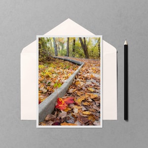 May include: A photograph of a fall scene featuring a path lined with a concrete curb, covered in fallen leaves. The leaves are in shades of yellow, orange, and red, with a single red leaf in the foreground. A white envelope and a black pencil are on a gray surface.