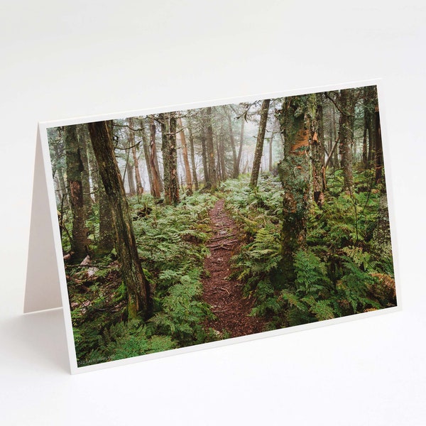 Misty Martha's Mile Trail 5x7 Note Card - fine art landscape photography from hiking in the White Mountain National Forest of New Hampshire