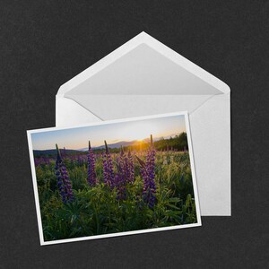 Lupine Glitter 5x7 Note Card - photo of sunrise over the lupine plants of Sugar Hill and the White Mountains of New Hampshire