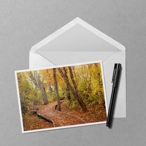 May include: A photograph of a scenic autumn landscape featuring a winding wooden path covered in fallen leaves. The path leads through a forest with trees displaying yellow and orange foliage. A white envelope and a black pen are also in the image.